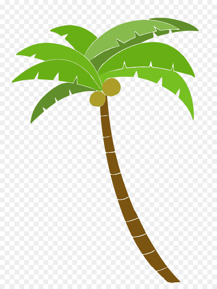 Palmera，Verde PNG