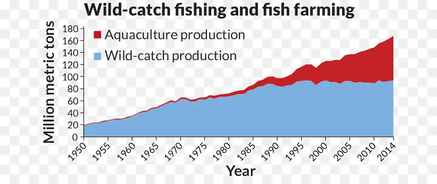 Fish Farming，Gráfico PNG