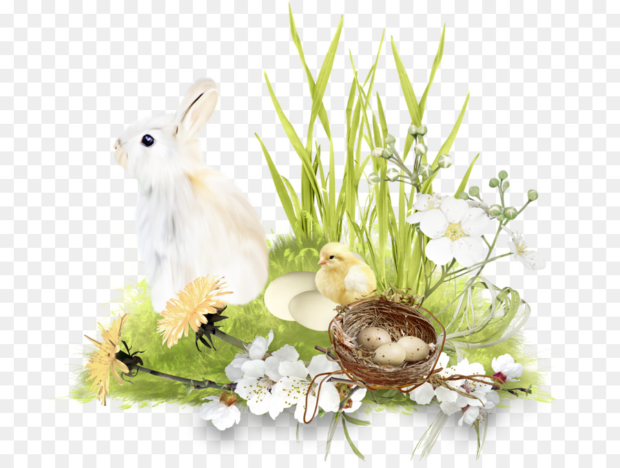 Conejito De Pascua，Conejo PNG