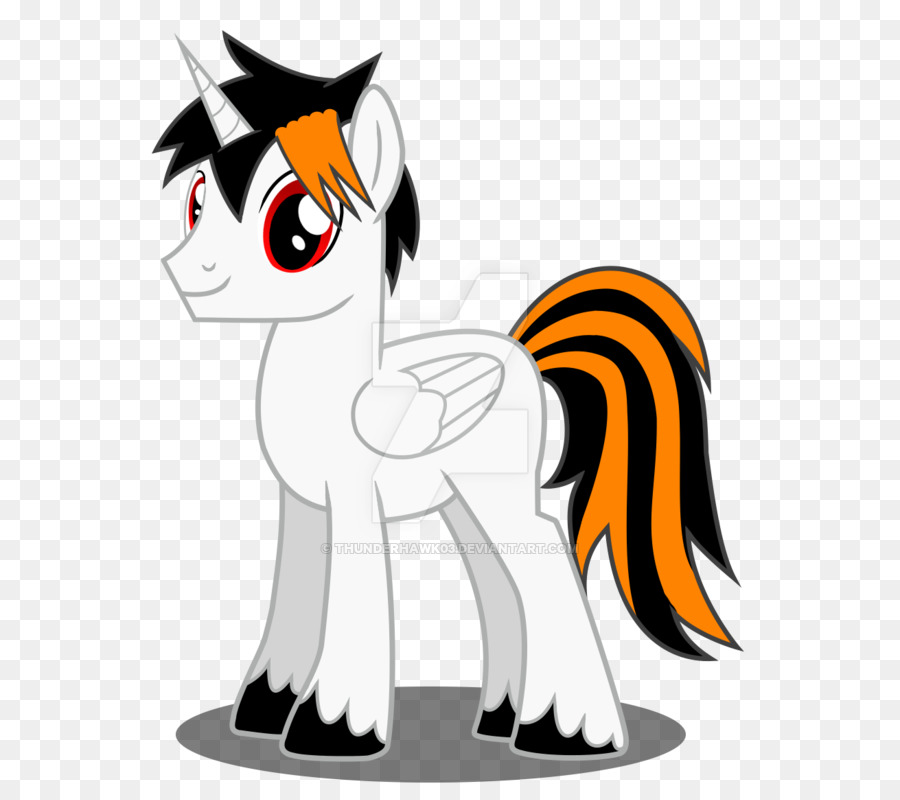 Gato，Caballo PNG