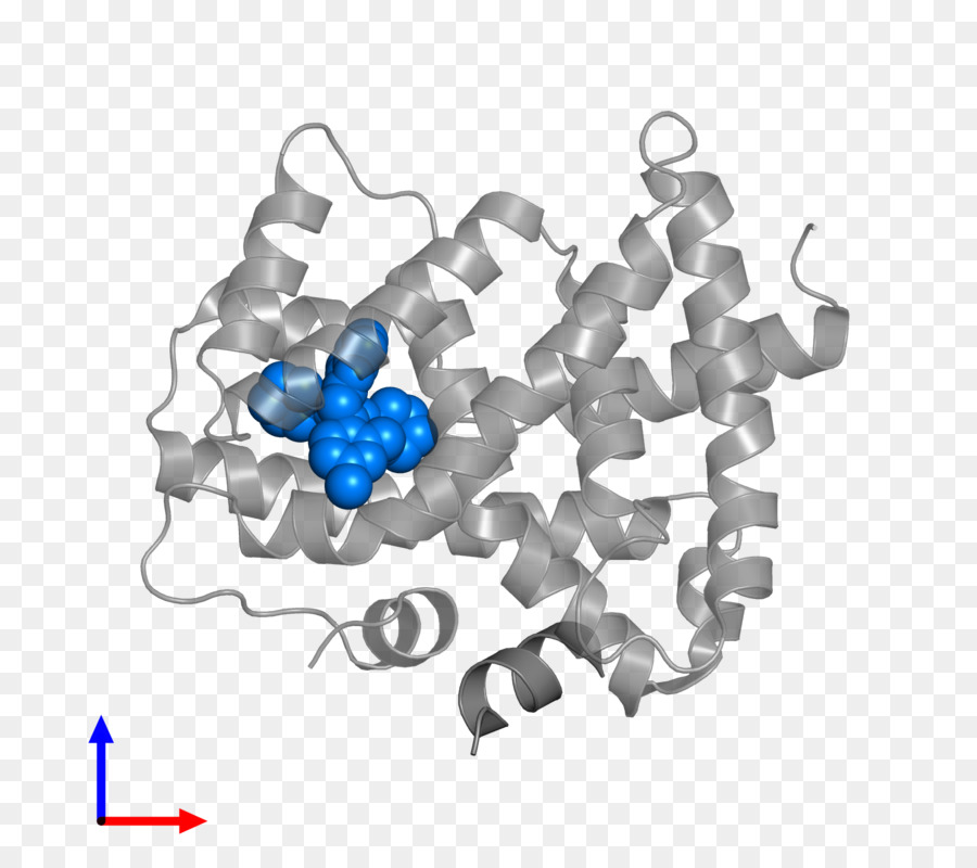 El Cuerpo De La Joyería，Joyería PNG