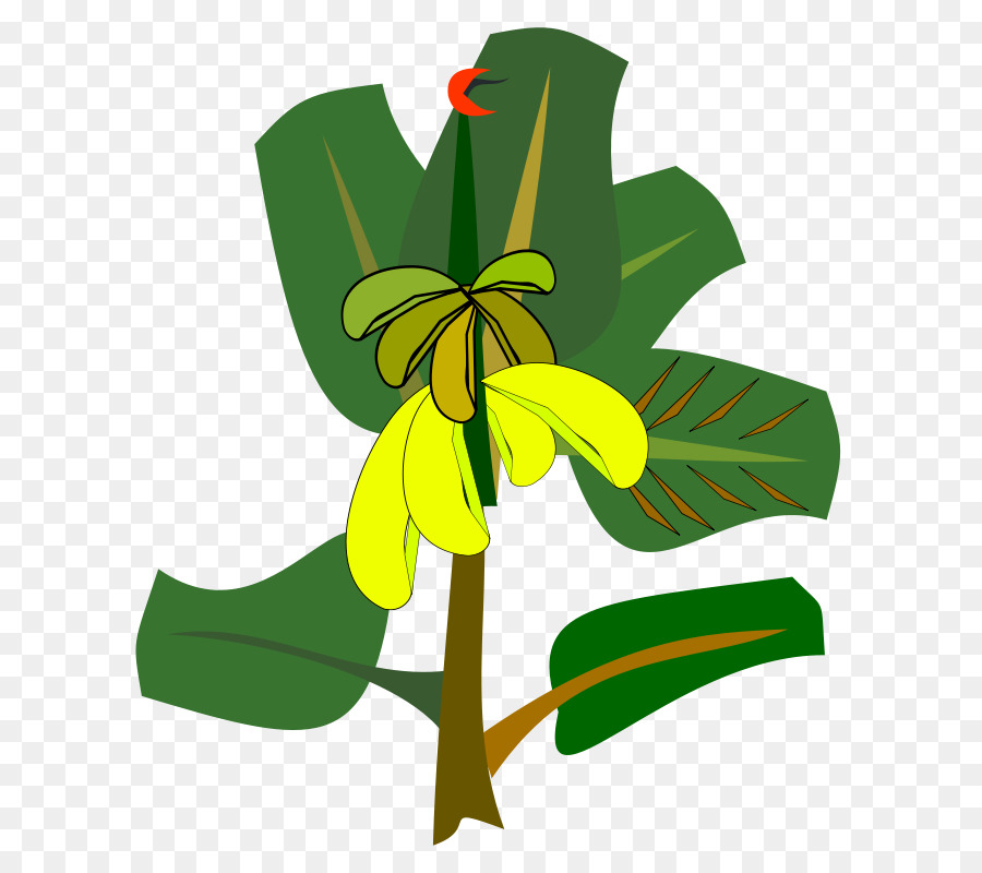 Banano，Árbol PNG