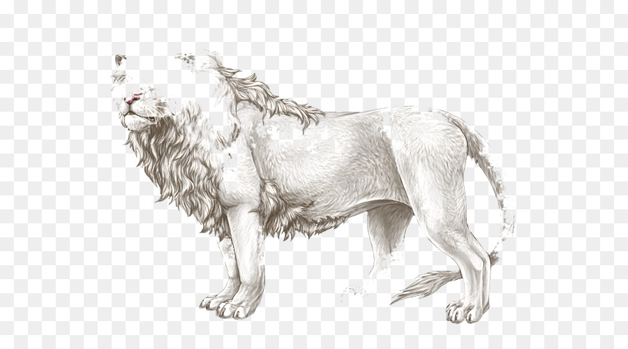 León，Raza De Perro PNG