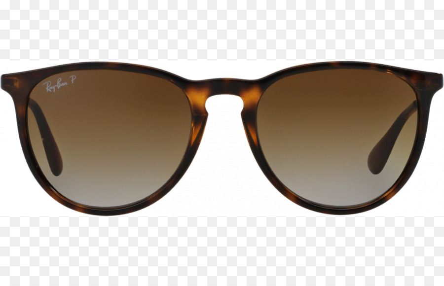 Rayban Erika Classic，Ray Ban PNG