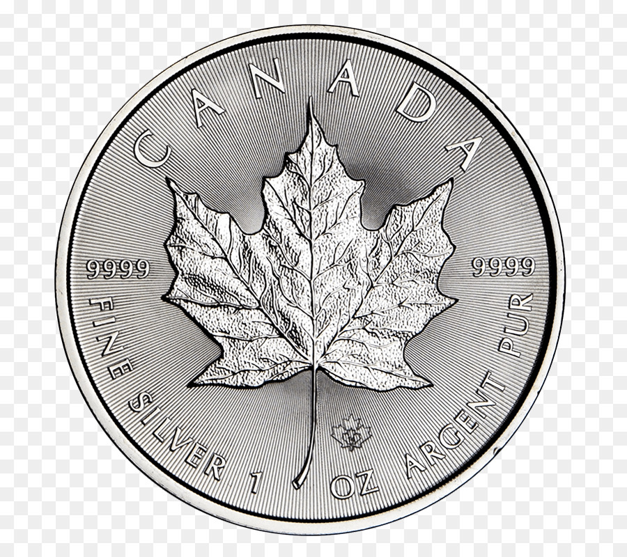 Moneda De Plata Canadiense，Divisa PNG