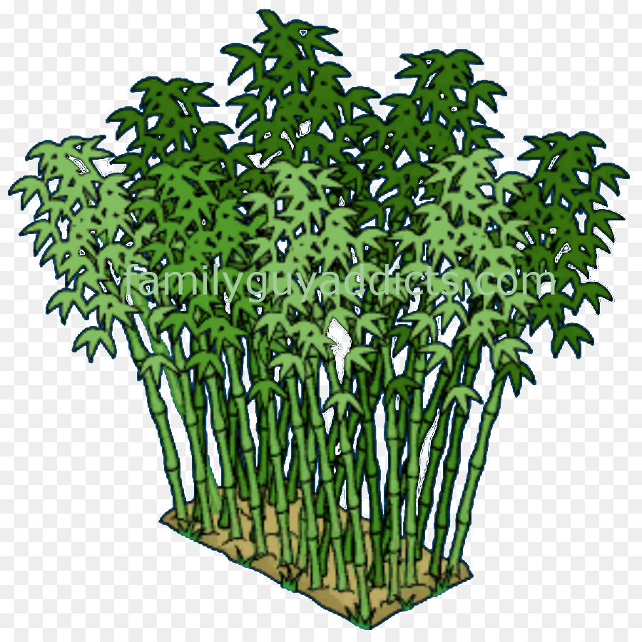 Maceta，Árbol PNG