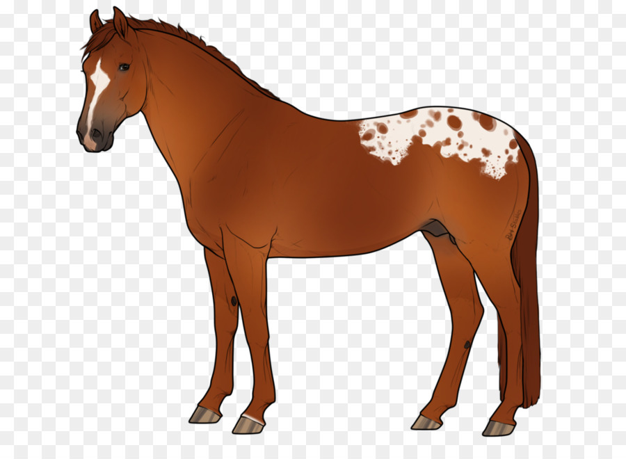 Caballo，Semental PNG