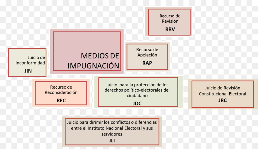 Marca，Organización PNG