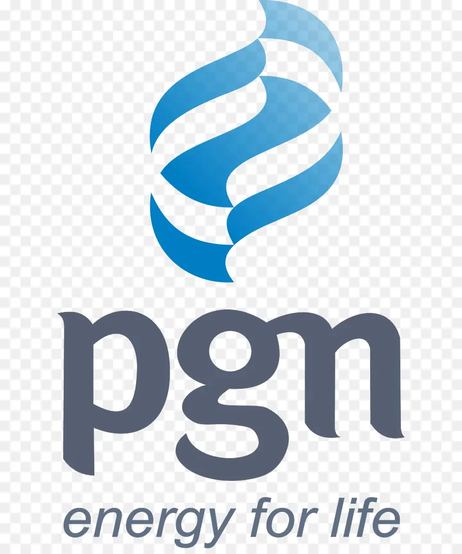Perusahaan Gas Negara，Pertamina PNG