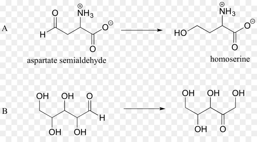 Estructura Química，Molécula PNG