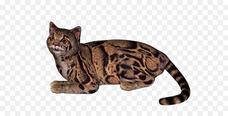 Gato，Bengala PNG