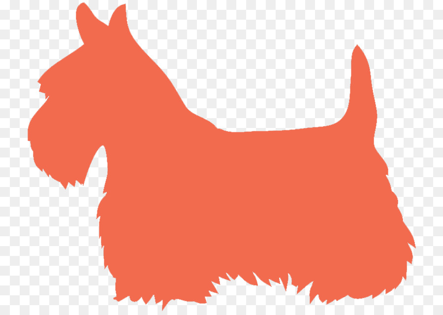 Scottish Terrier，Yorkshire Terrier PNG