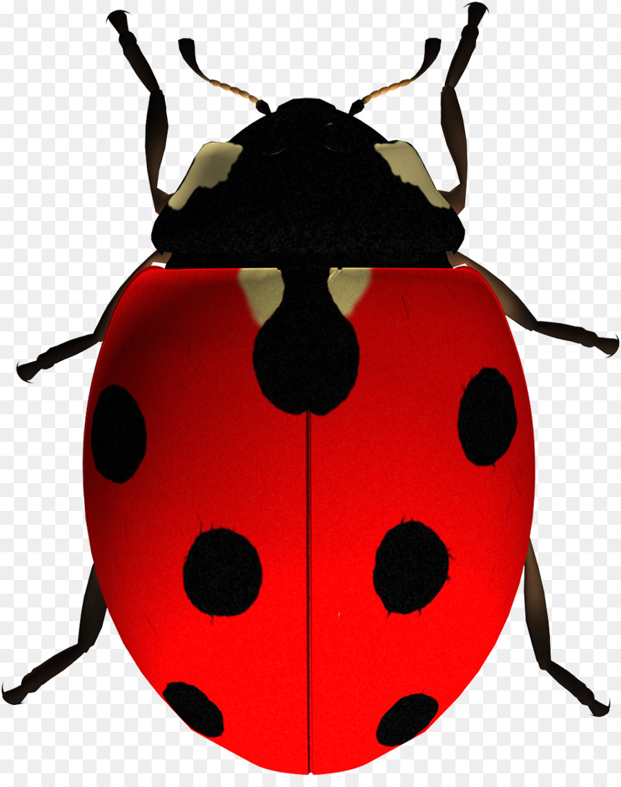 Mariquita，Bicho PNG