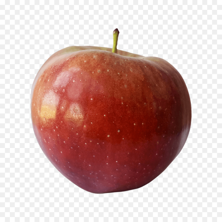 Apple，Elstar PNG