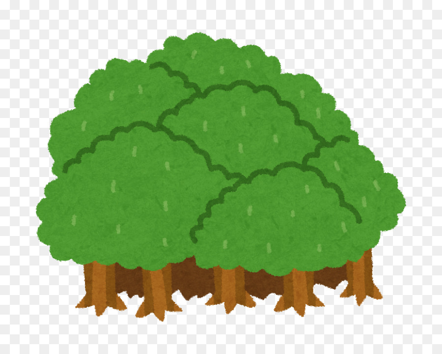 árboles Verdes，Bosque PNG