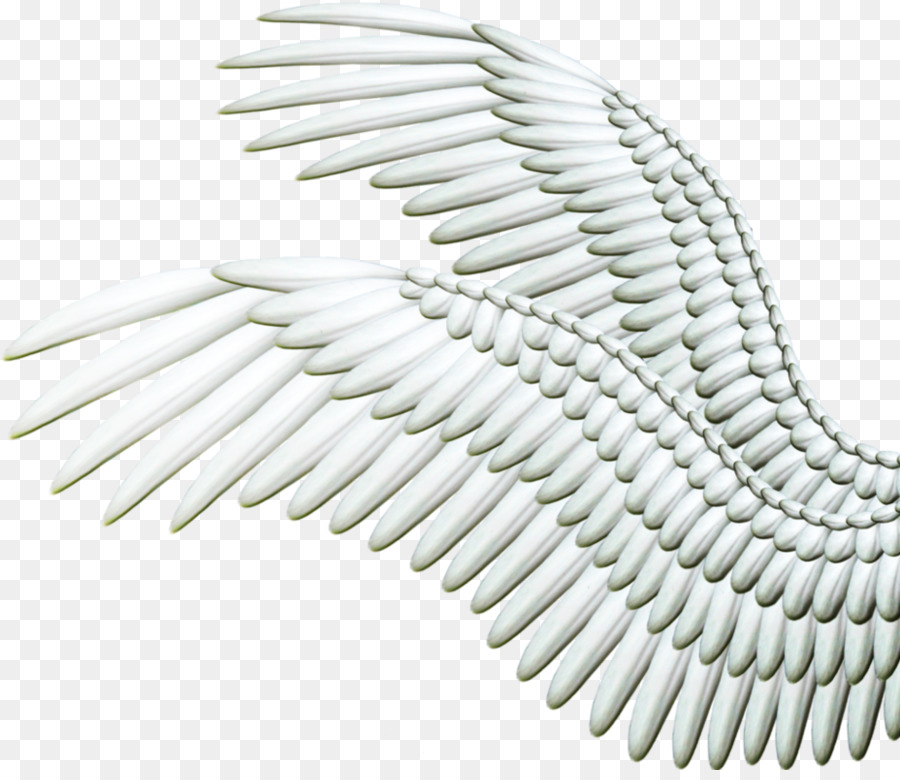 Alas，Plumas PNG