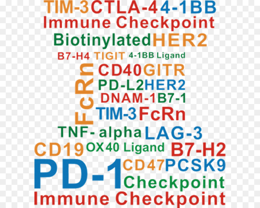 Inmune Punto De Control，La Inmunoterapia Del Cáncer PNG