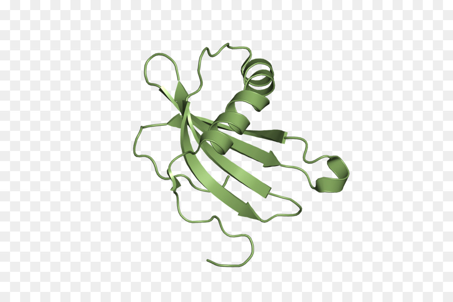 La Cistatina Un，La Cistatina PNG