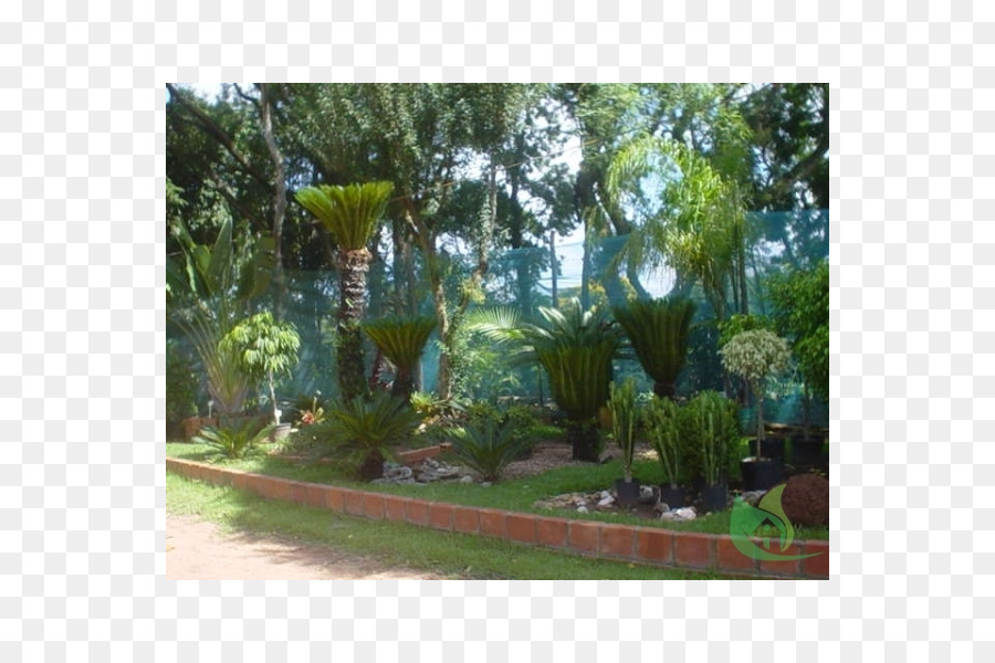 Jardín Majorelle，El Jardín Botánico De PNG