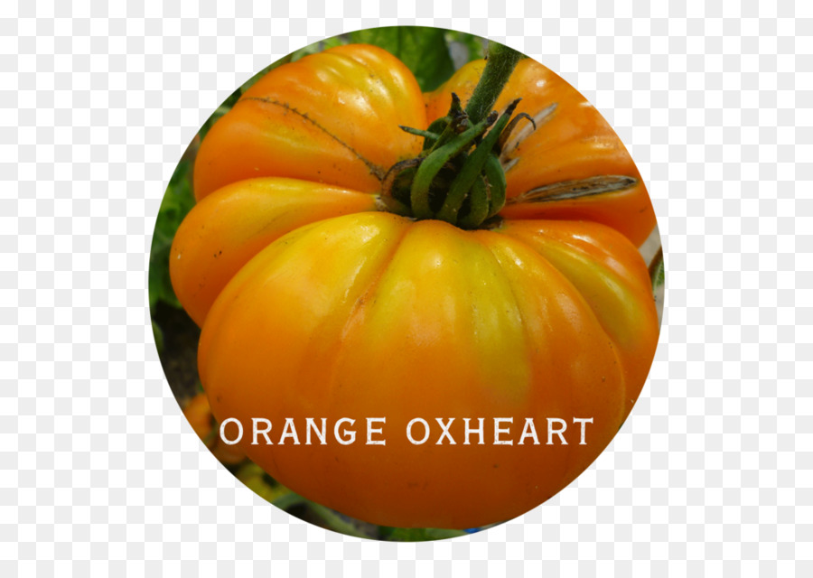 Tomate，Reliquia De Tomate PNG