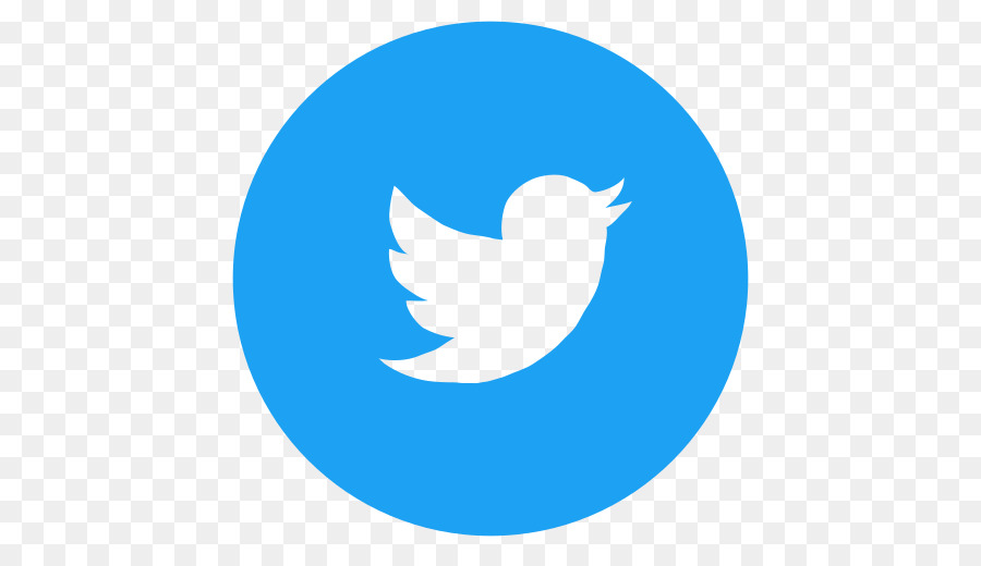 Logotipo De Twitter，Pájaro PNG