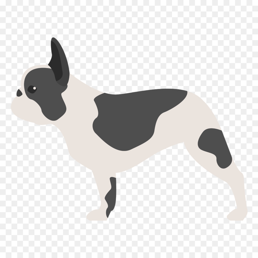 Terrier De Boston，Bulldog Francés PNG