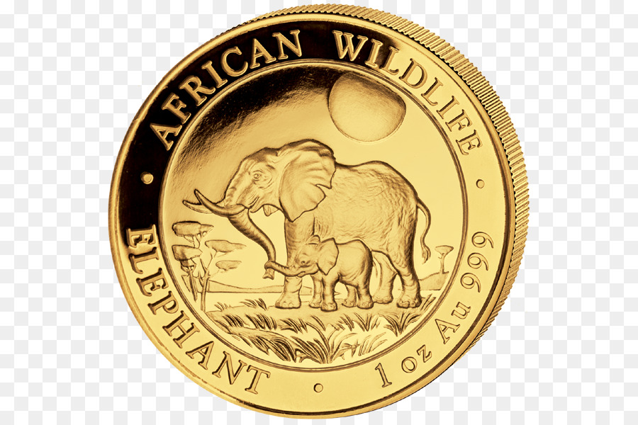 Moneda De Oro，Elefante PNG