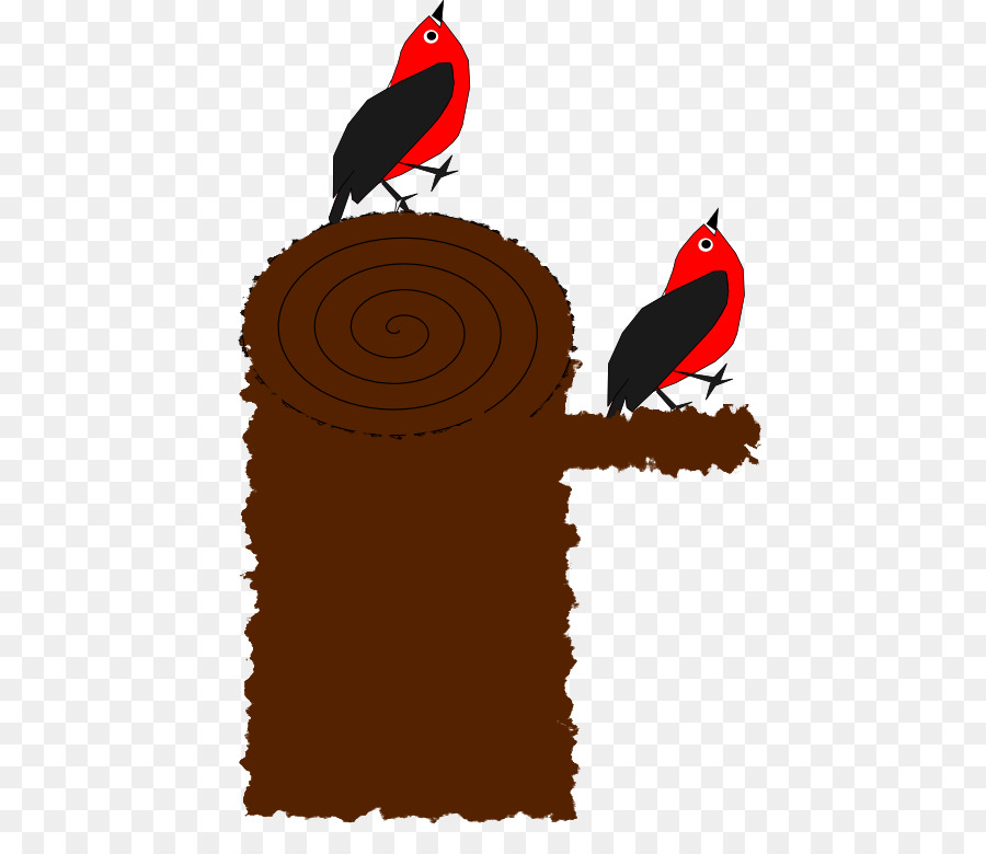 Aves，Woodpecker PNG