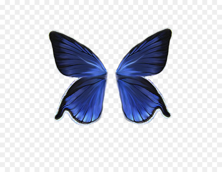 Mariposa，Dibujo PNG