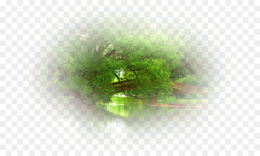 Verde，Fondo De Escritorio PNG