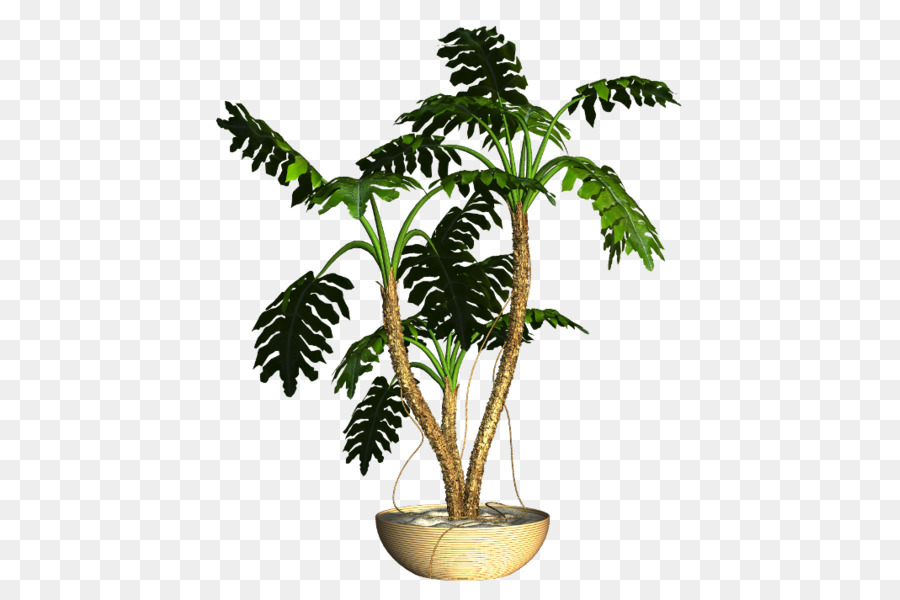 Planta，Verde PNG