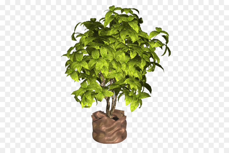 Planta Verde，Hojas PNG