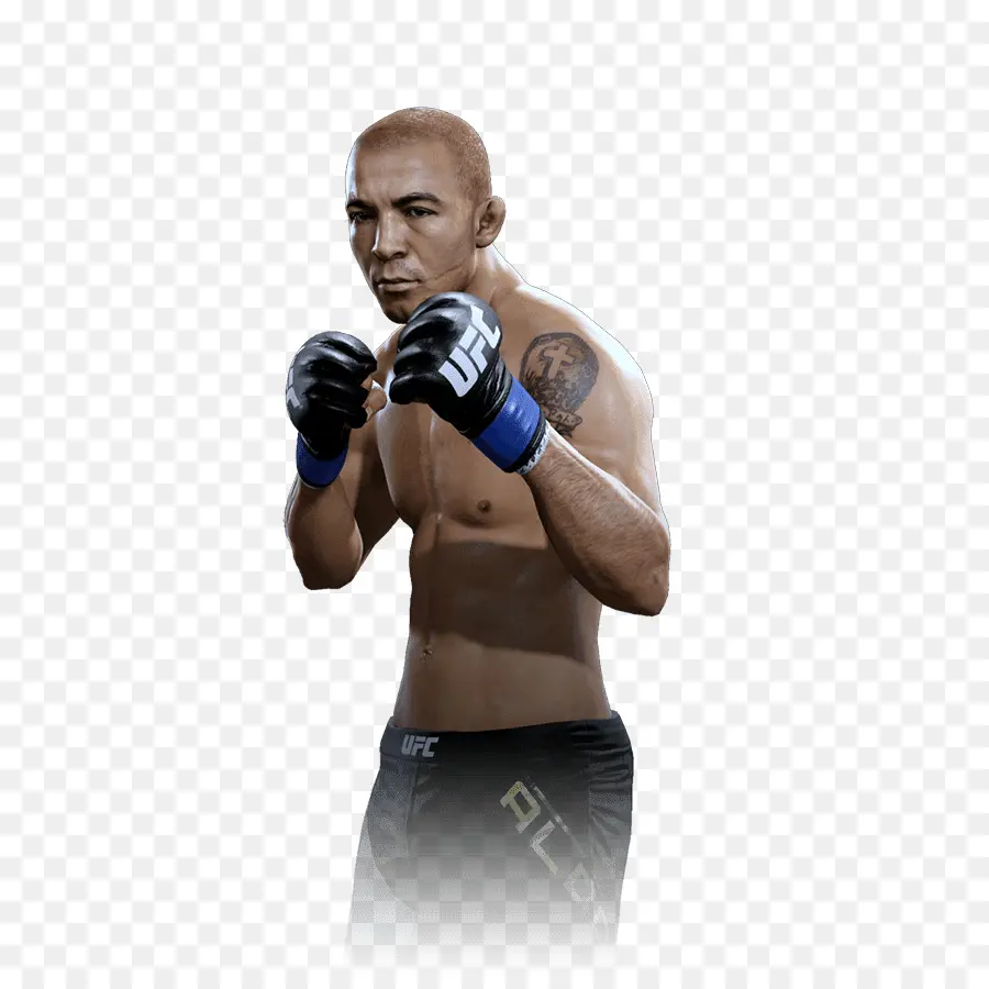 José Aldo，Ufc 179 Aldo Vs Mendes 2 PNG