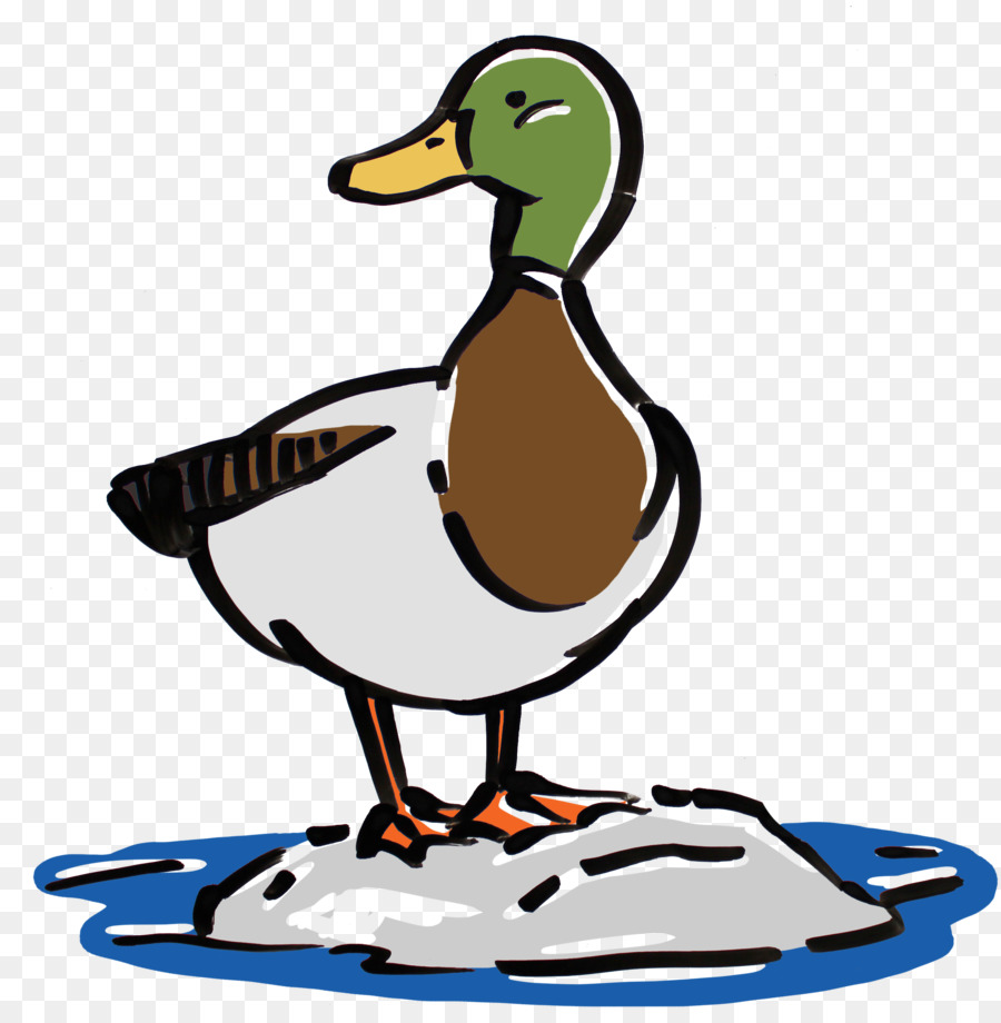 Pato，Agua PNG