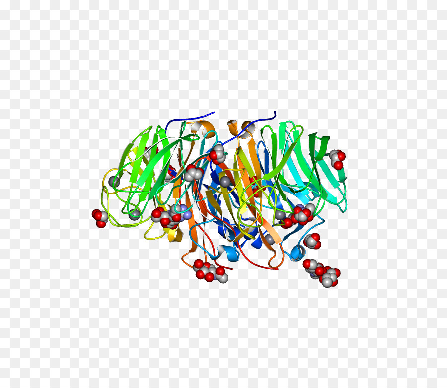 Estructura Proteica，Molécula PNG