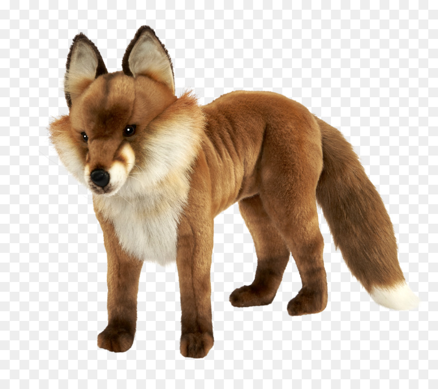 Zorro Rojo，Dhole PNG