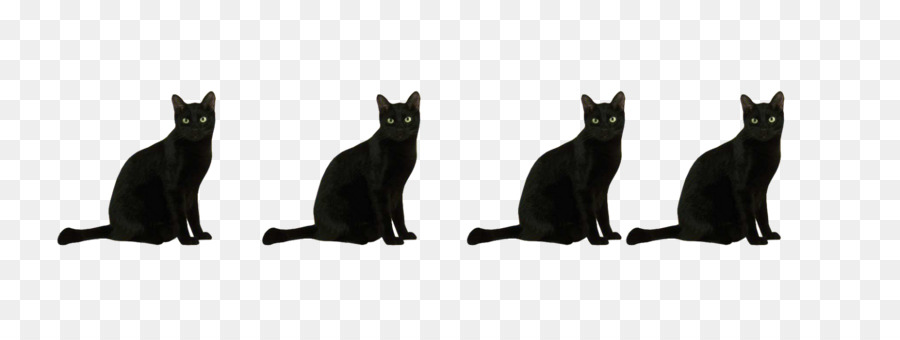 Gato，Negro PNG