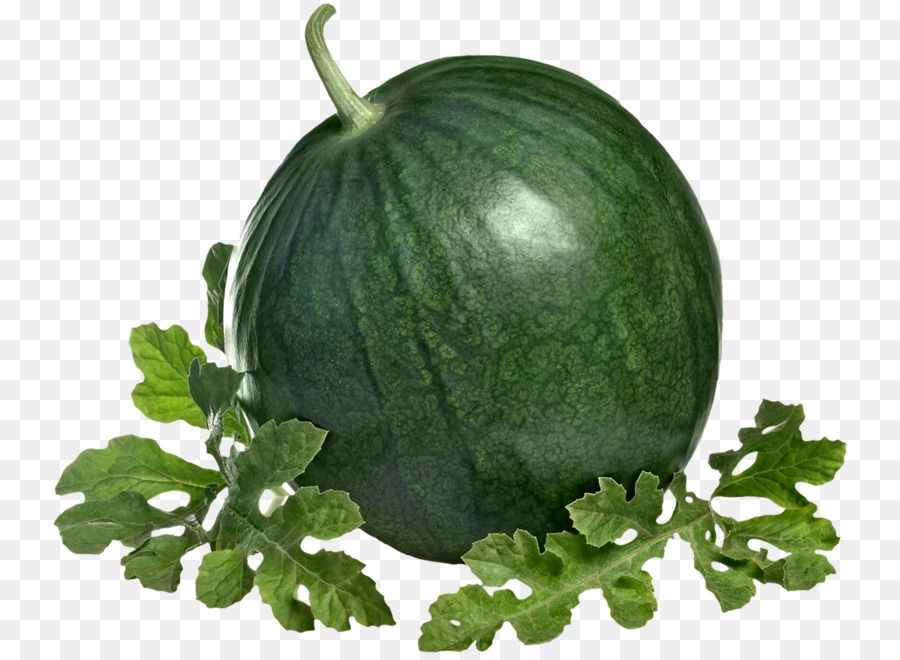 Sandía，Melón PNG