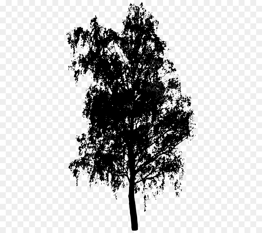 Árbol，La Fotografía PNG