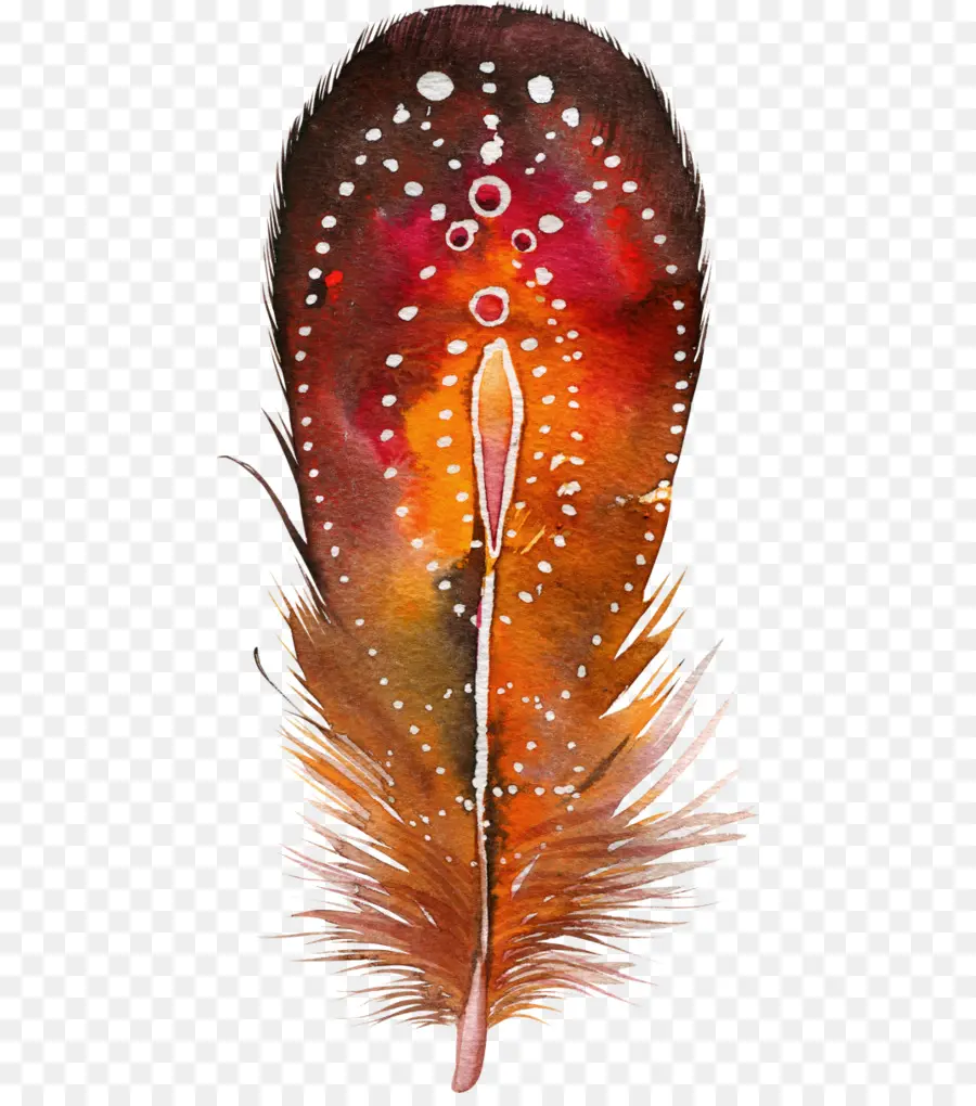 Pluma，Aves PNG