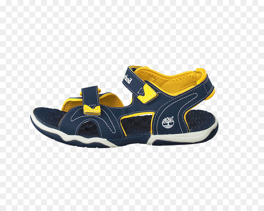 Zapatillas De Deporte，Zapato PNG