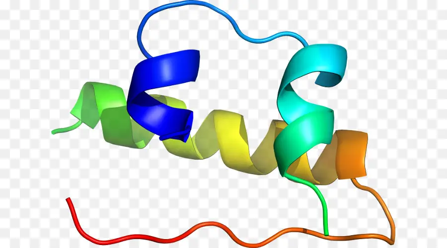 Estructura De Proteína Colorida，Biología PNG