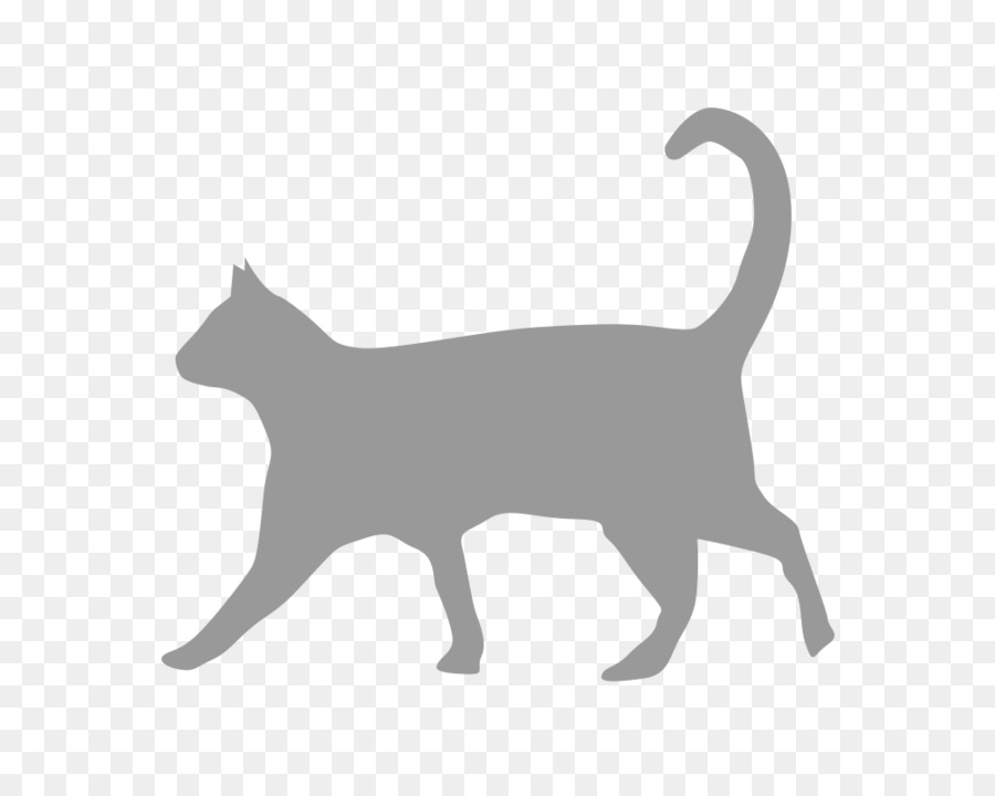 Silueta De Gato，Felino PNG