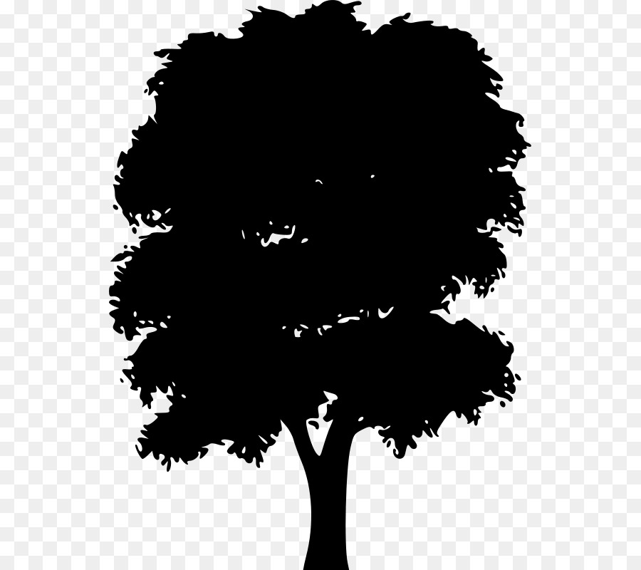 Árbol，Naturaleza PNG