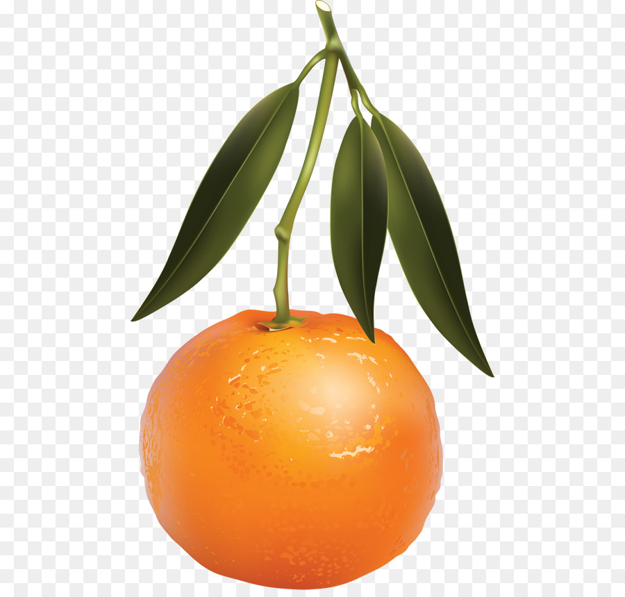 Clementine，Mandarina PNG