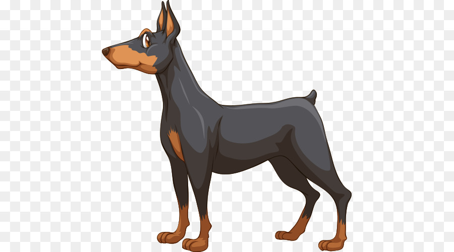 Dobermann，Pinscher Alemán PNG