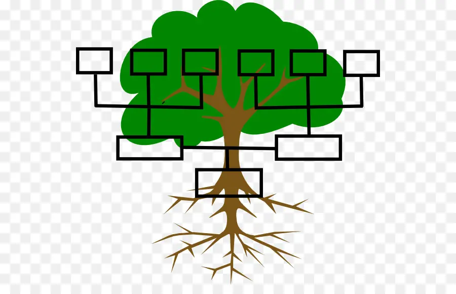 árbol De Familia，Genealogía PNG