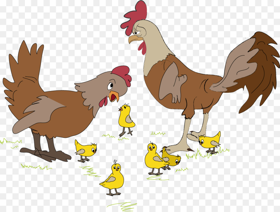 Familia De Pollos，Gallo PNG