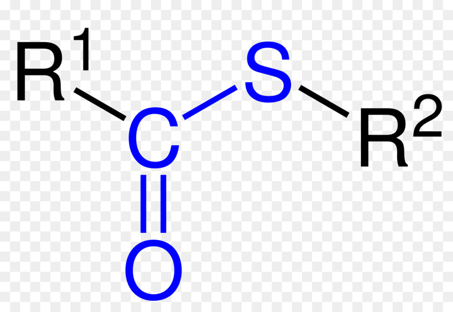 Estructura Química，Molécula PNG