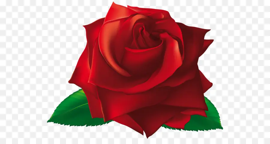 Rosa，Rojo PNG